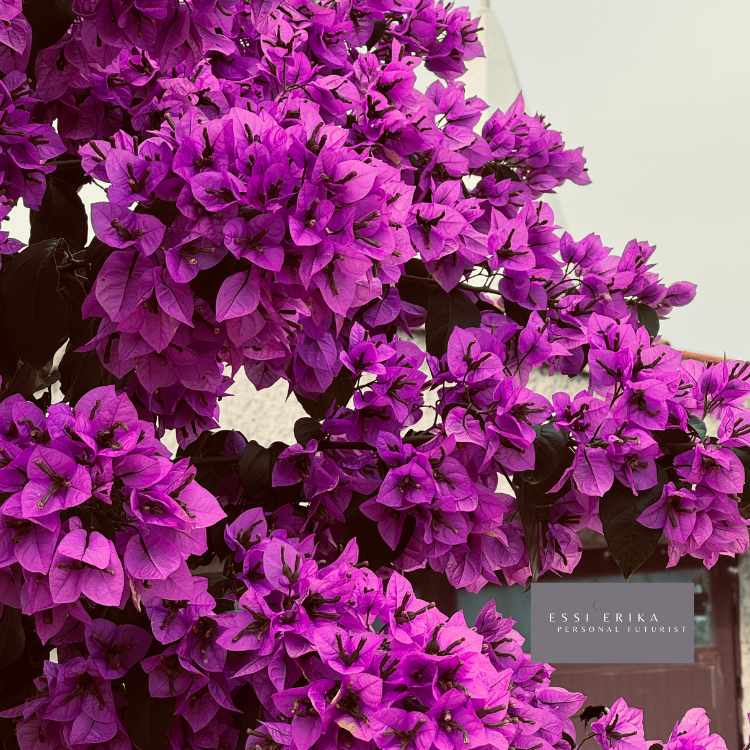 Guided Futures Exploration: Beyond Comeback — Reinvent Your Futures