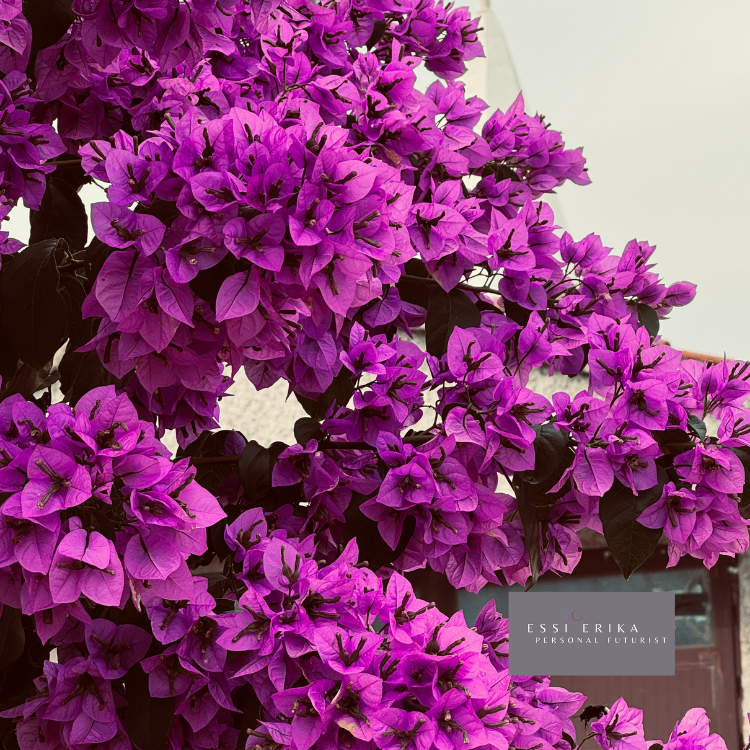 Futures Workflow: Personal Futures meet Group Vision