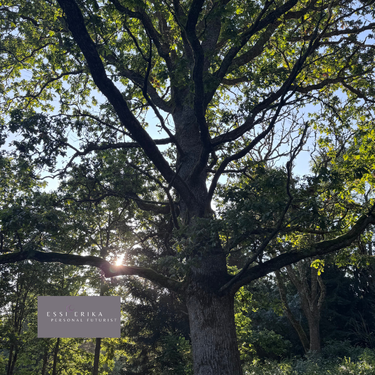 Futures Workflow: Personal Futures meet Group Vision